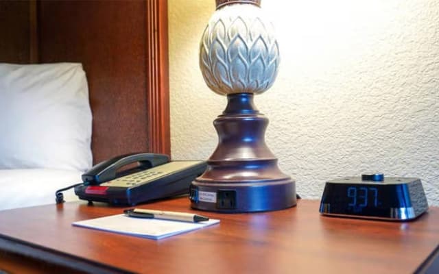 Rosen Inn International - photo 2