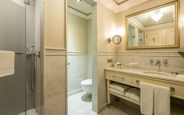 Pera Palace Hotel - photo 3