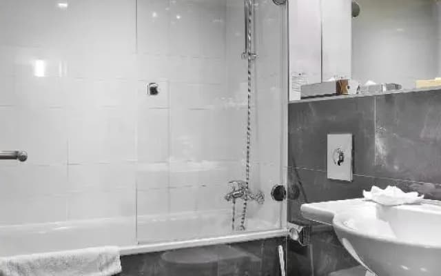 Majestic Plaza Hotel Prague - photo 7