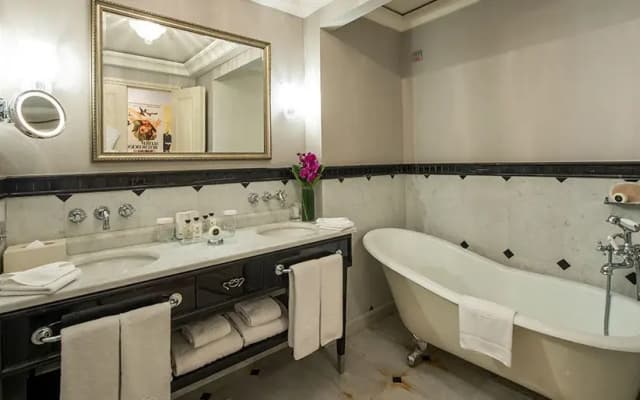 Pera Palace Hotel - photo 4