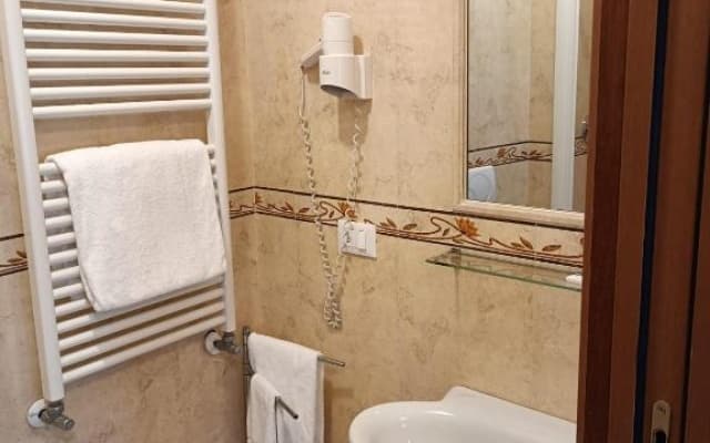 Hotel Scandinavia - photo 3
