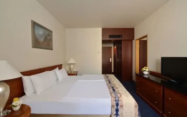 Danubius Hotel Hungaria City Center - photo 4