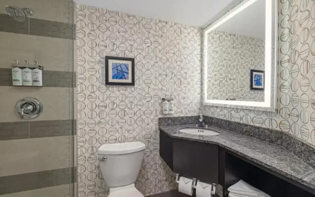 Holiday Inn Toronto Downtown Centre by IHG - photo 3