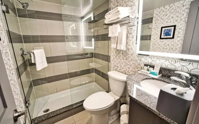 Holiday Inn Toronto Downtown Centre by IHG - photo 6