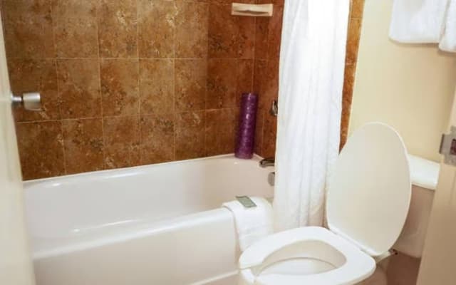 Rosen Inn International - photo 5