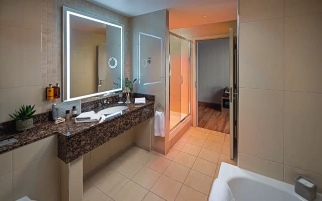 Carlton Hotel Dublin Airport Hotel - photo 4