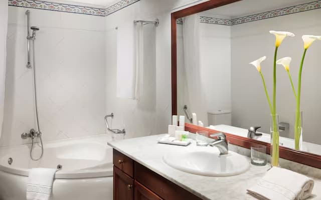 Hotel Las Aguilas Tenerife, Affiliated by Melia - photo 4
