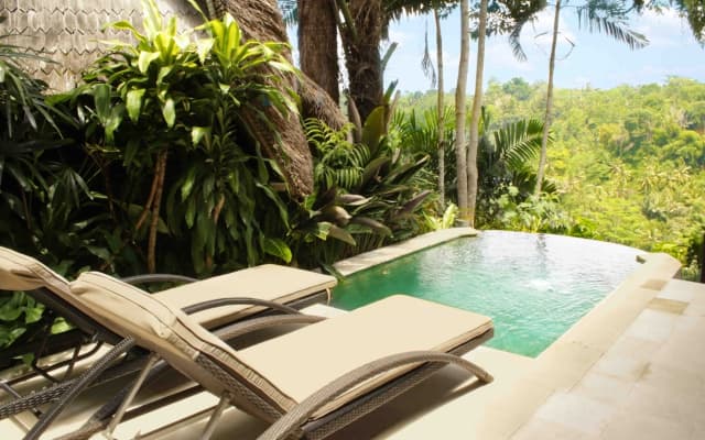 Kupu Kupu Barong Villas & Tree Spa Hotel - photo 4