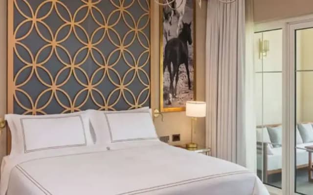 Al Habtoor Polo Resort - photo 2