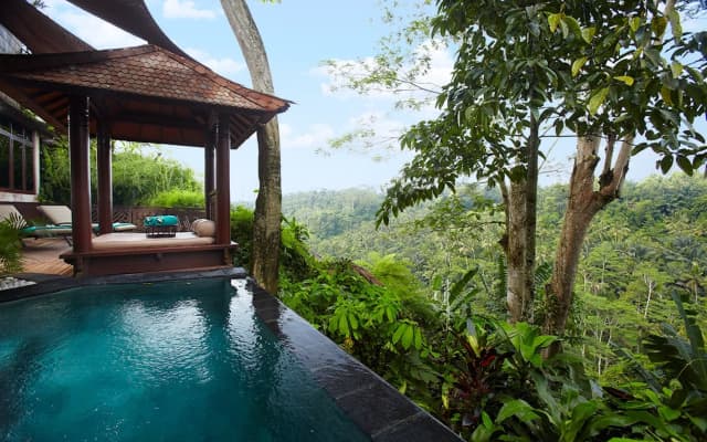 Kupu Kupu Barong Villas & Tree Spa Hotel - photo 8