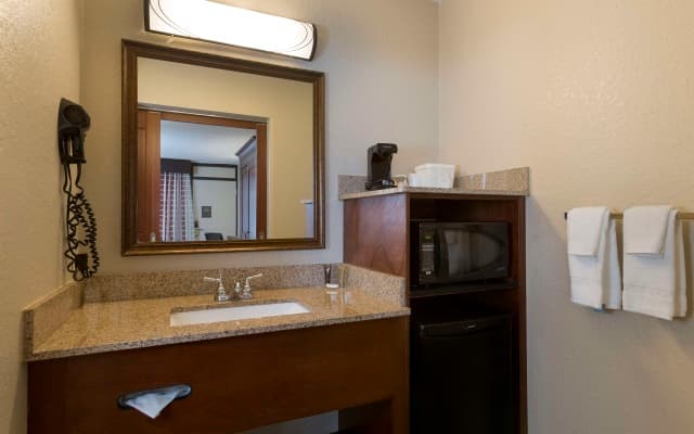 Rosen Inn International - photo 8