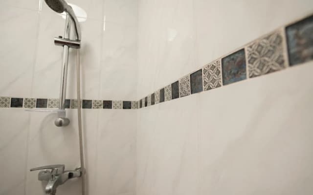Europe BLV - photo 8