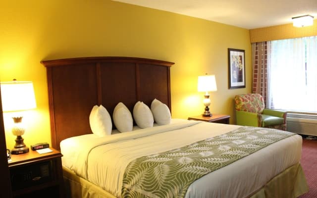 Rosen Inn International - photo 7